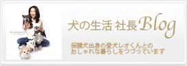 犬の生活　社長ブログ犬の生活　オーナー兼バイヤー　『早苗社長』　のブログです。
