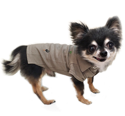 17ss-cp-dog2.jpg