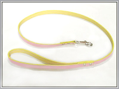 acube_rd_leash.jpg