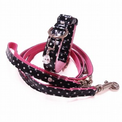 dotcollar-pink250.jpeg