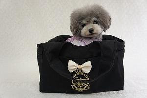 godpiva-petitcarry-inu-black.jpg