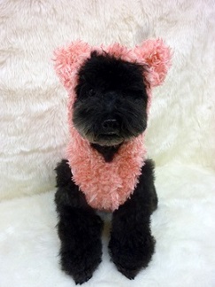 poodlefar-pop-pink-mae2.jpg