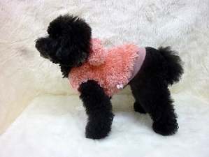 poodlefar-pop-pink-yoko.jpg