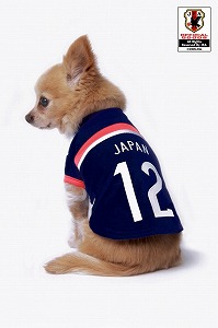 s-jfa14-15japan-t-inu-usiro.jpg