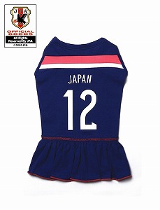 s-jfa14-15japan-wanpi.jpg