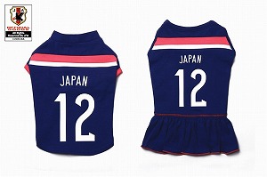 s-jfa14-15japan.jpg